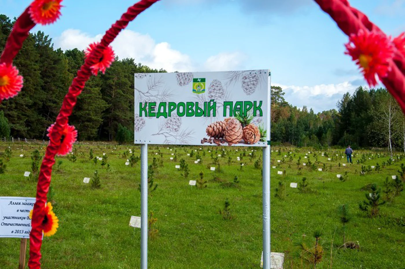 Районная ярмарка-фестиваль «Праздник кедра»