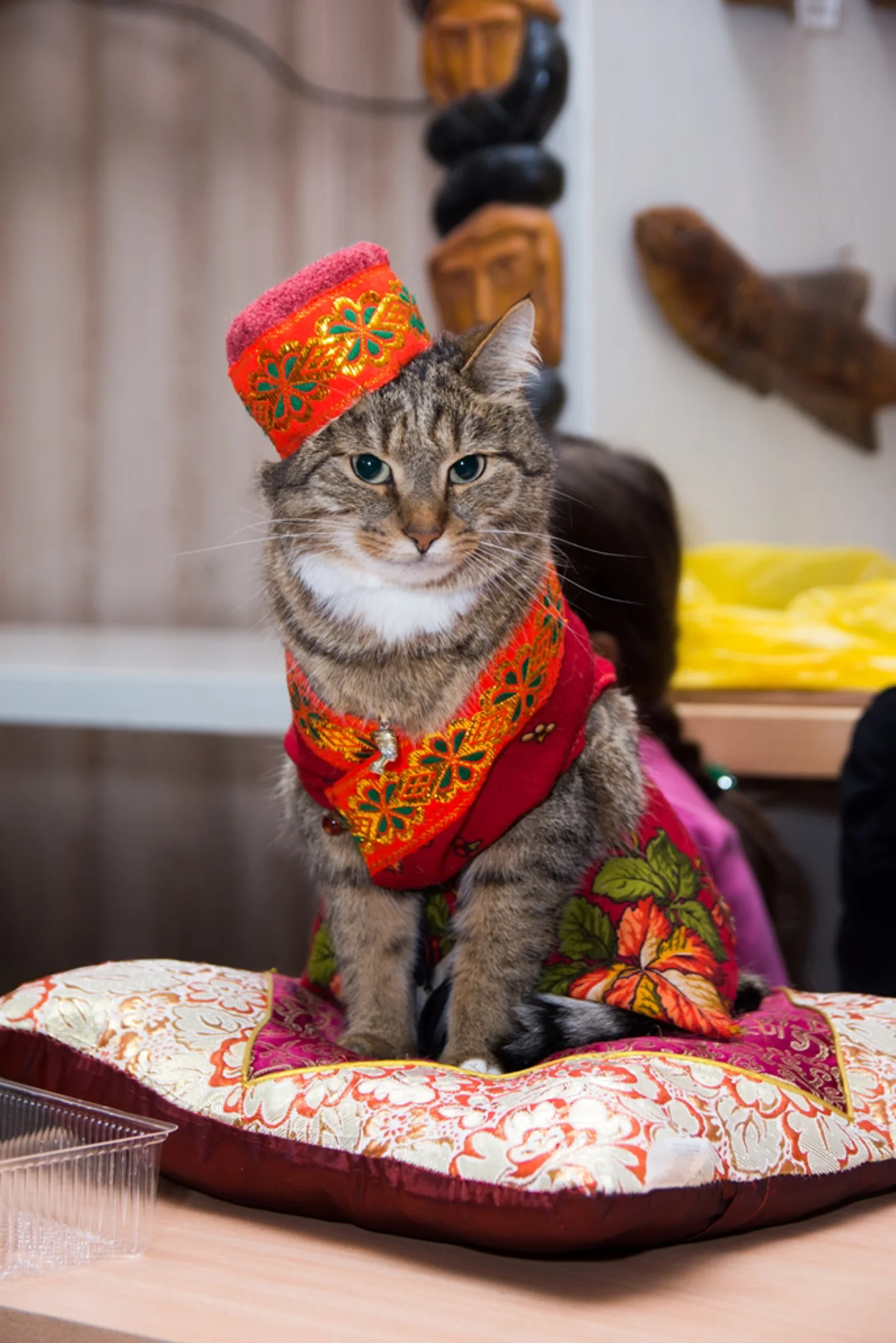 Праздник «Не всё коту Масленица!»