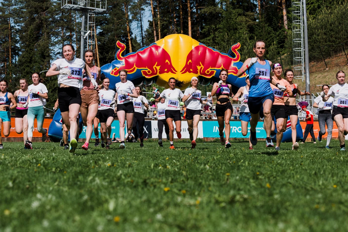 RED BULL - 400