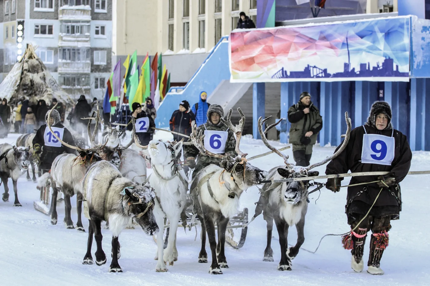 Праздник Севера.  Гонки на оленьих упряжках