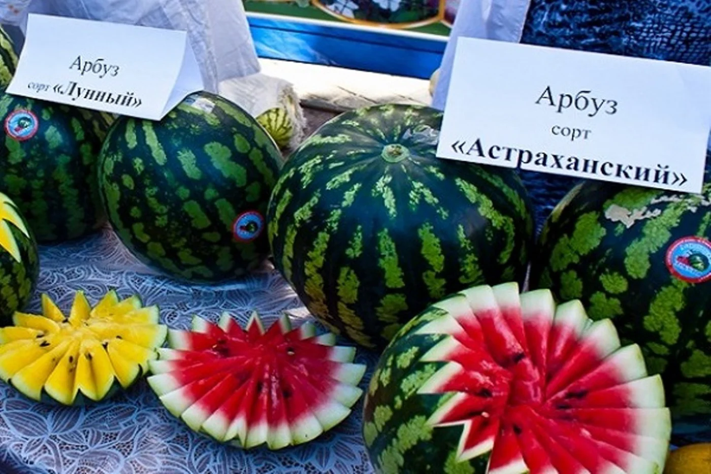 День арбуза 