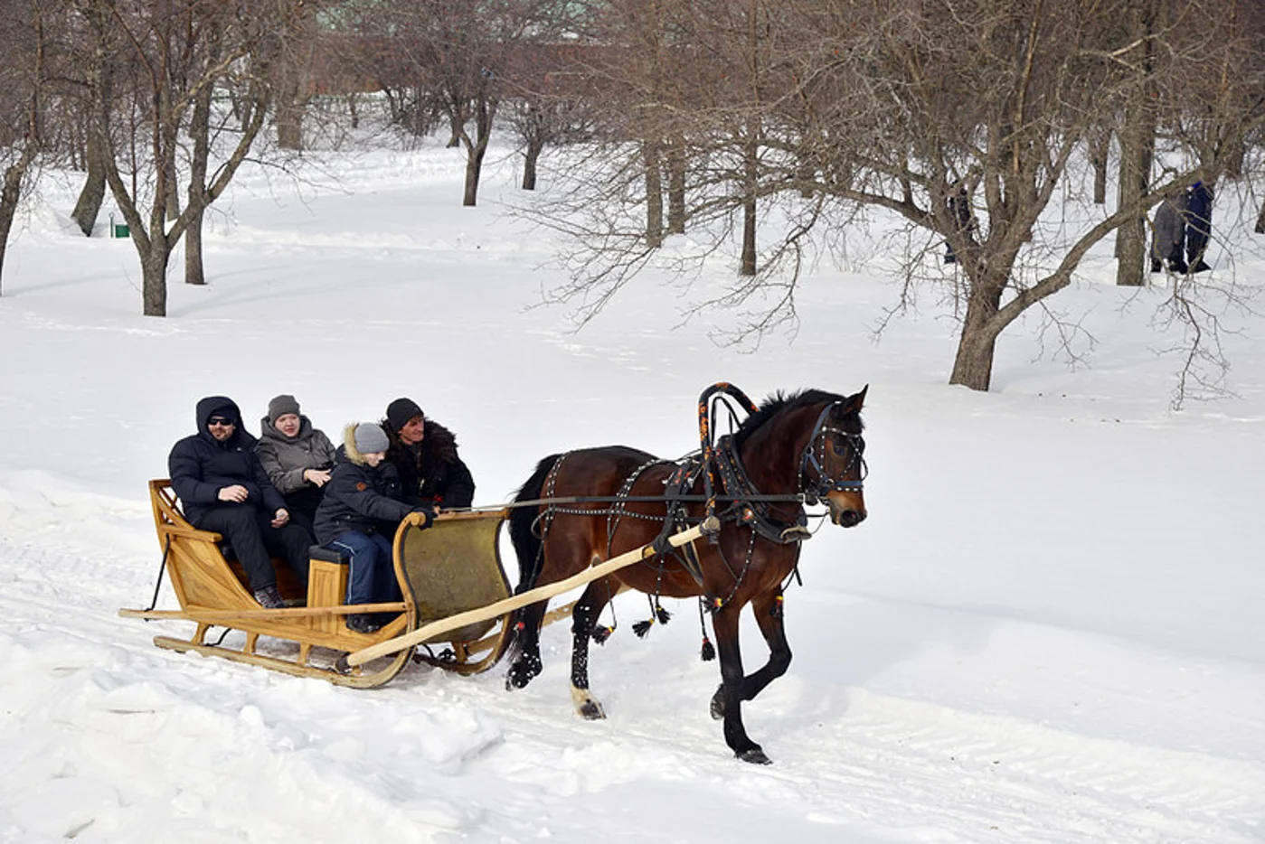 Широкая Масленица в Тарханах