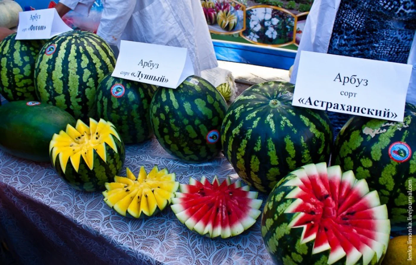 День арбуза в Астрахани