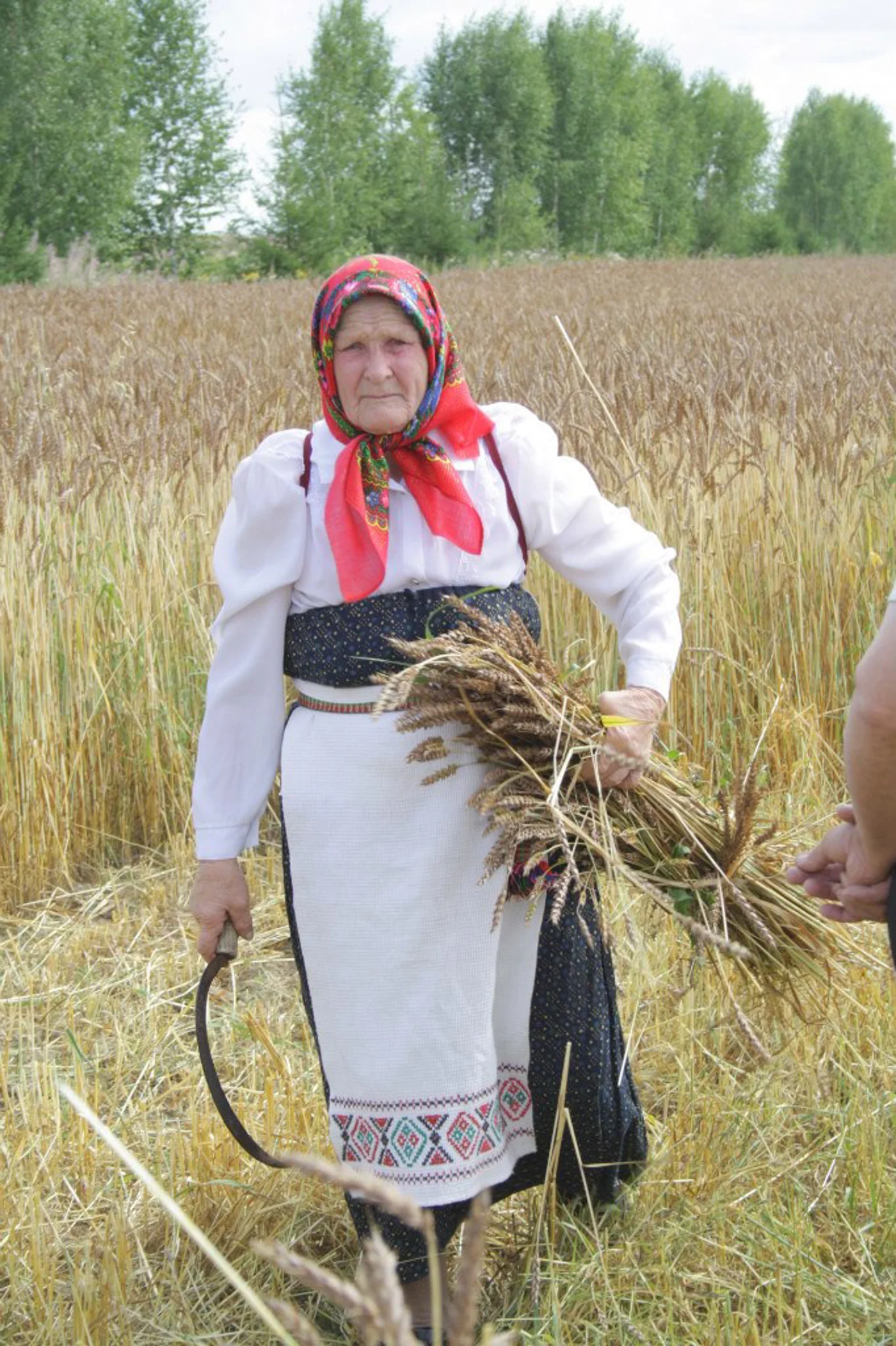 Традиционный праздник сбора урожая "Зажинки"
