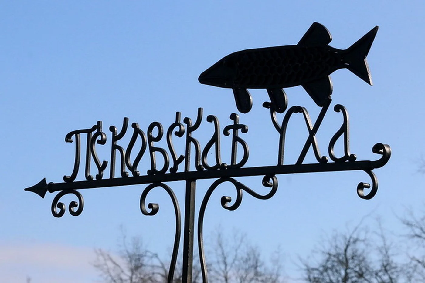 День рыбака