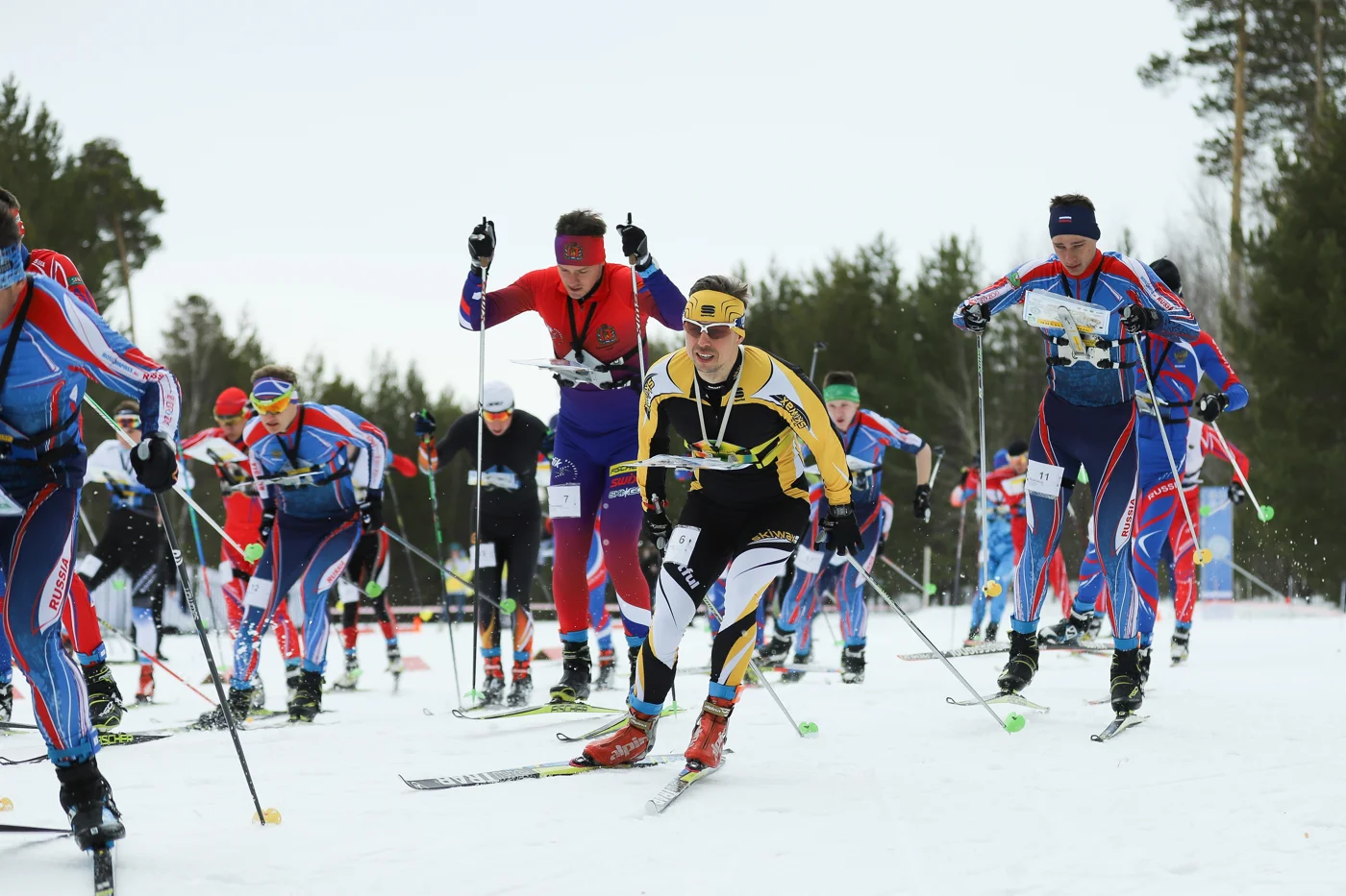 Чемпионат России по спортивному ориентированию