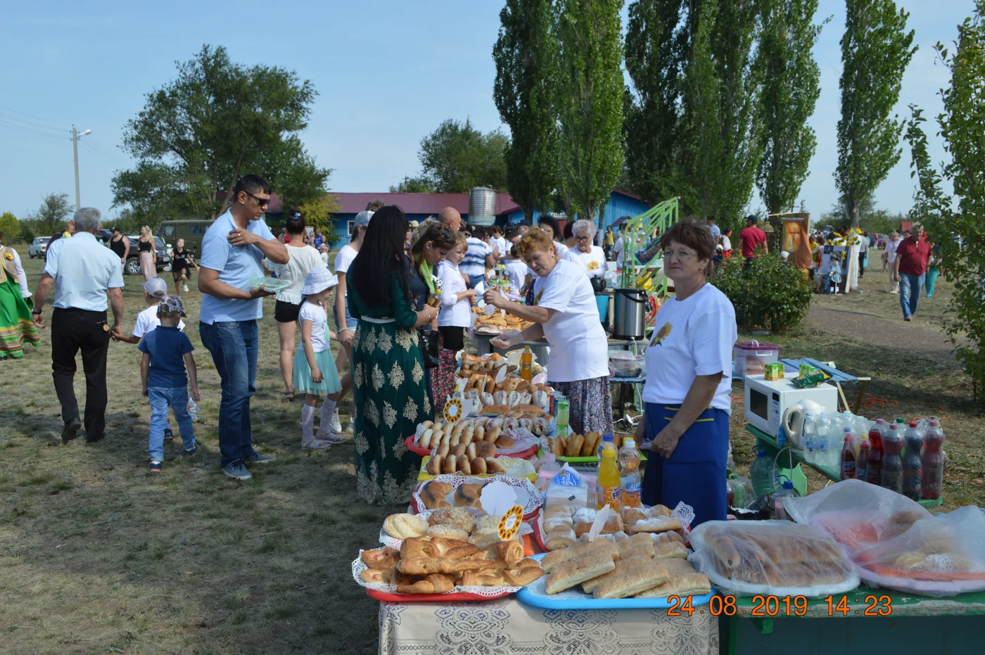 Фестиваль "Ершовские подсолнухи"