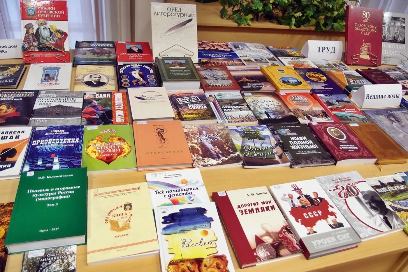Областной праздник "Орловская книга"