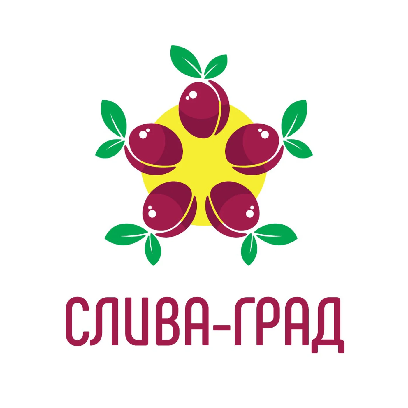 Фестиваль "Слива-Град"