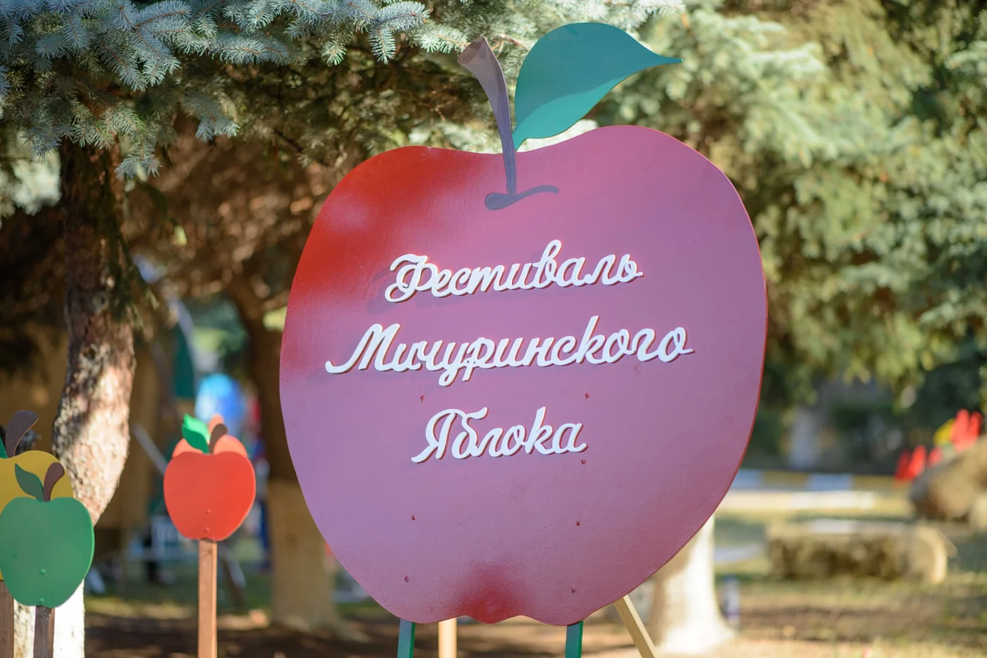 Фестиваль Мичуринского Яблока 