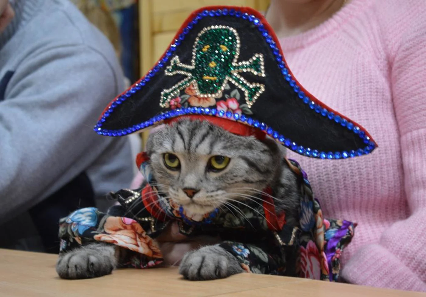 Праздник «Не всё коту Масленица!»