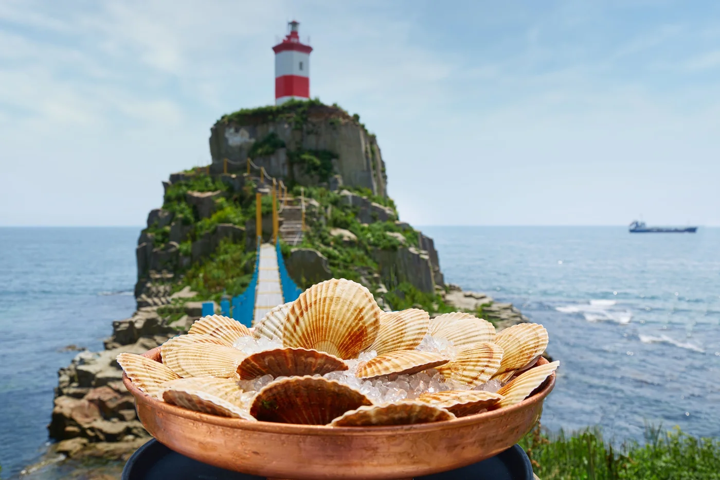 Фестиваль гребешка "На гребне"