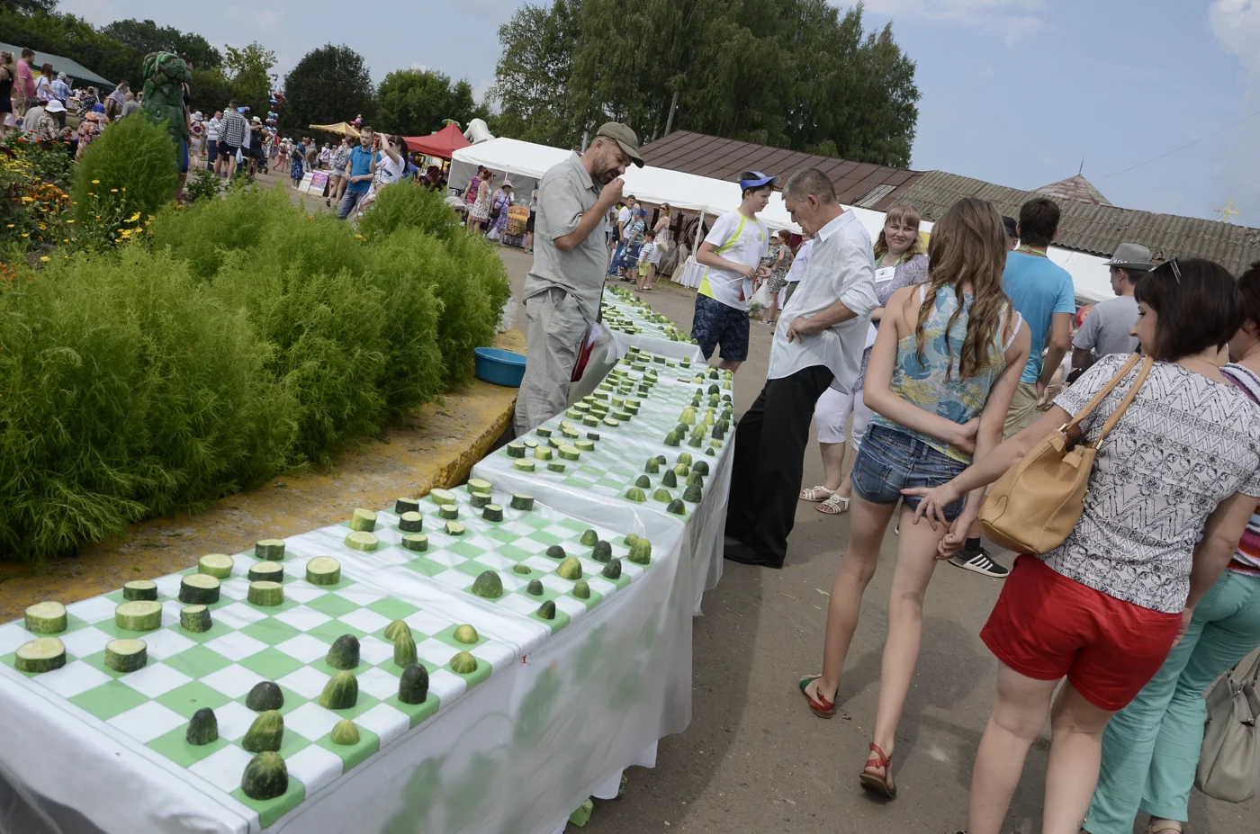 Гастрономический фестиваль «Истобенский огурец»