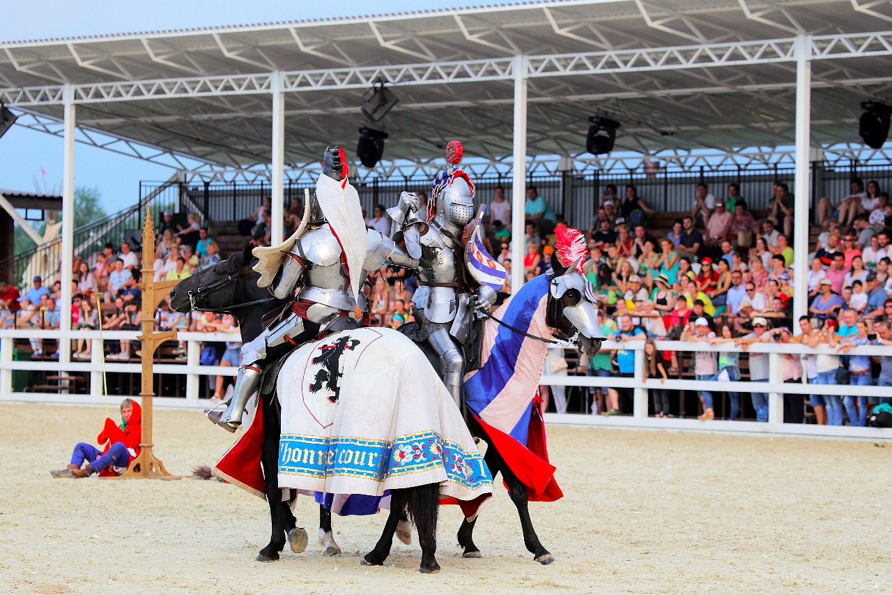В Подмосковье прошел I Международный конный фестиваль “Иваново Поле”