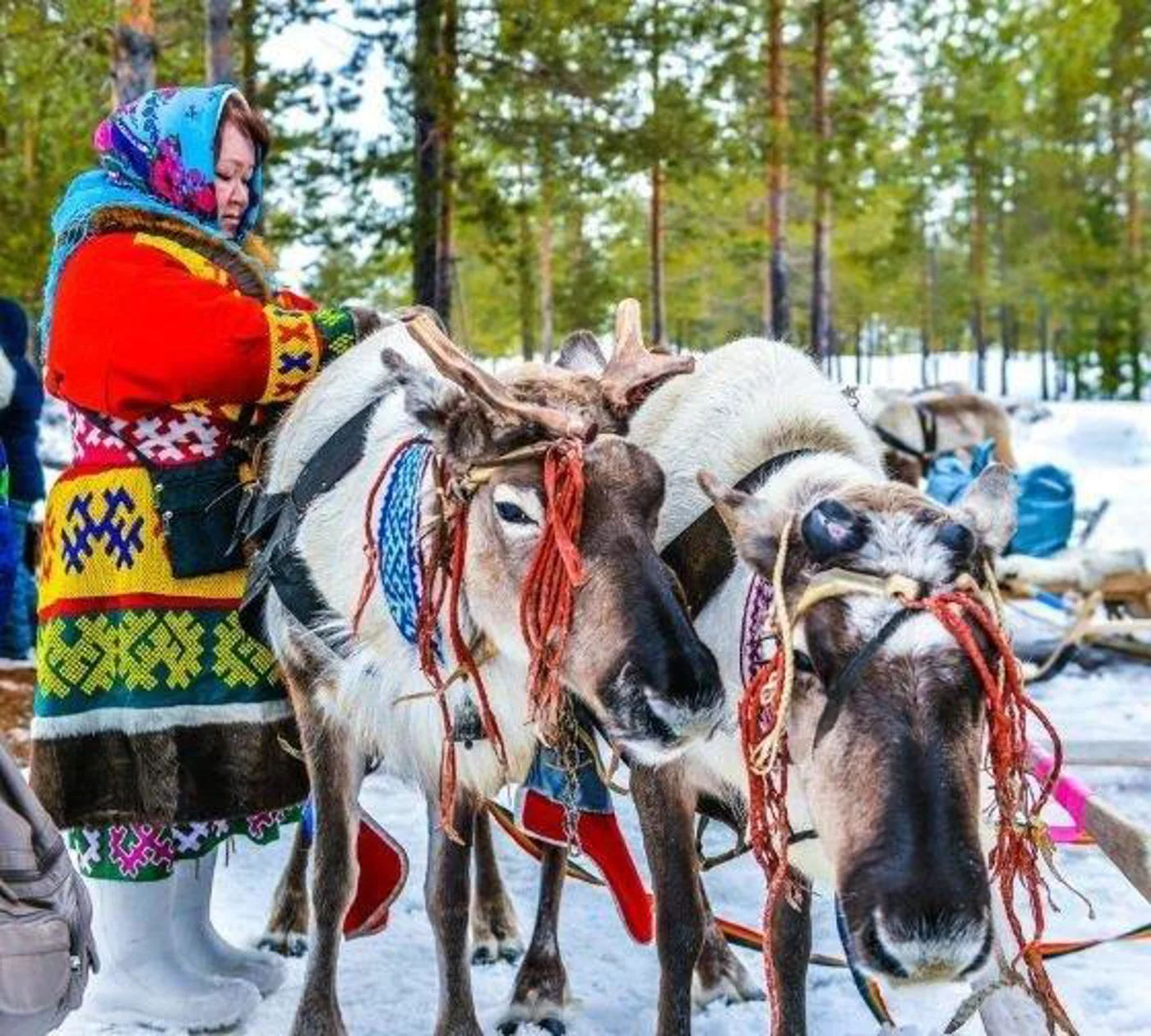 Районный традиционный национальный праздник коренных малочисленных народов Севера «Праздник охотника и оленевода»