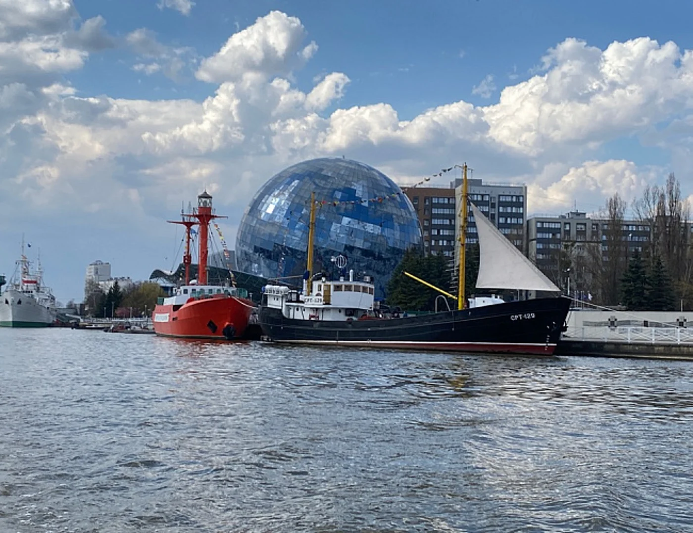 День селёдки 2026