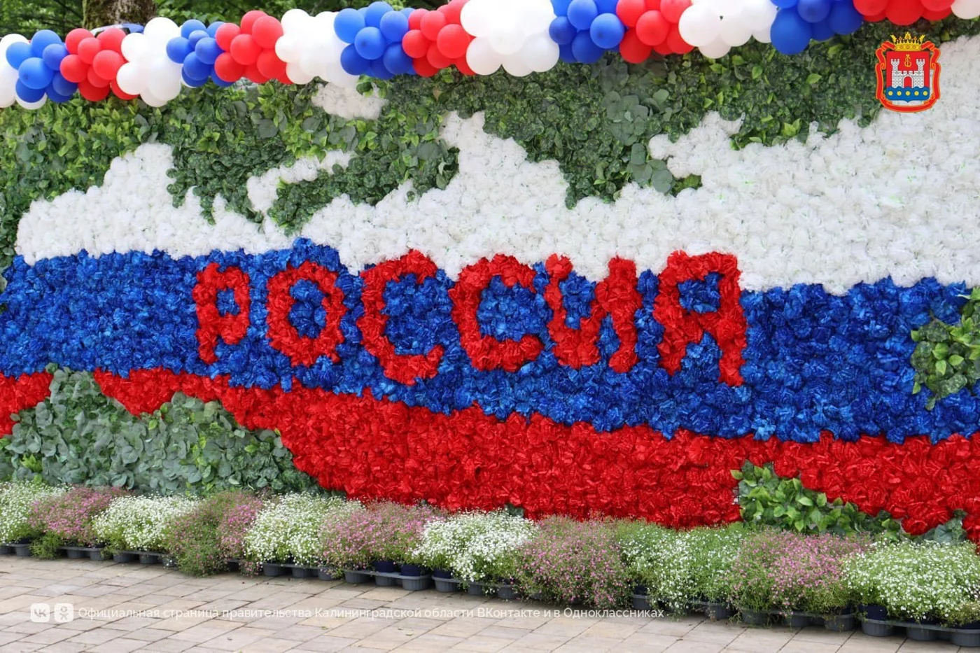 IV областной фестиваль цветов "Цветы России" 