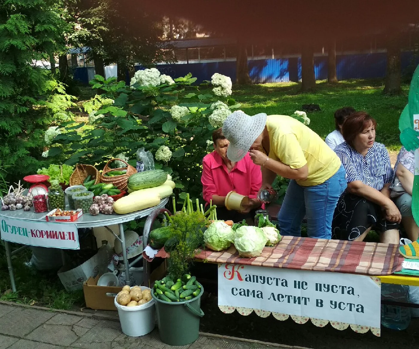 Фестиваль «Его Величество Огурец»