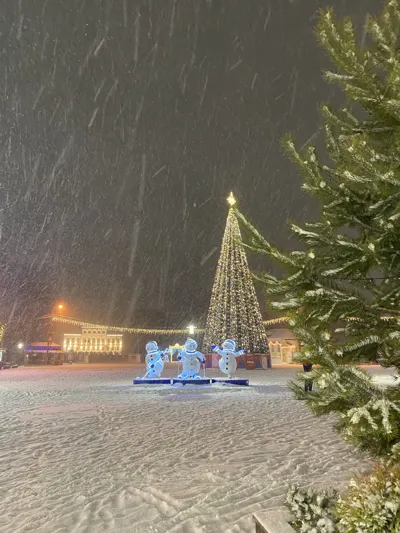 Зажжение огней на Главной ёлке города Углич