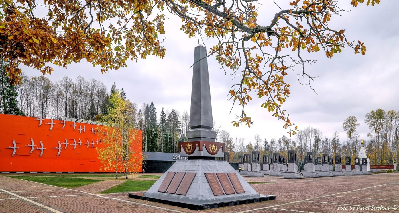 Международный патриотический фестиваль «Партизанскими тропами Брянщины»