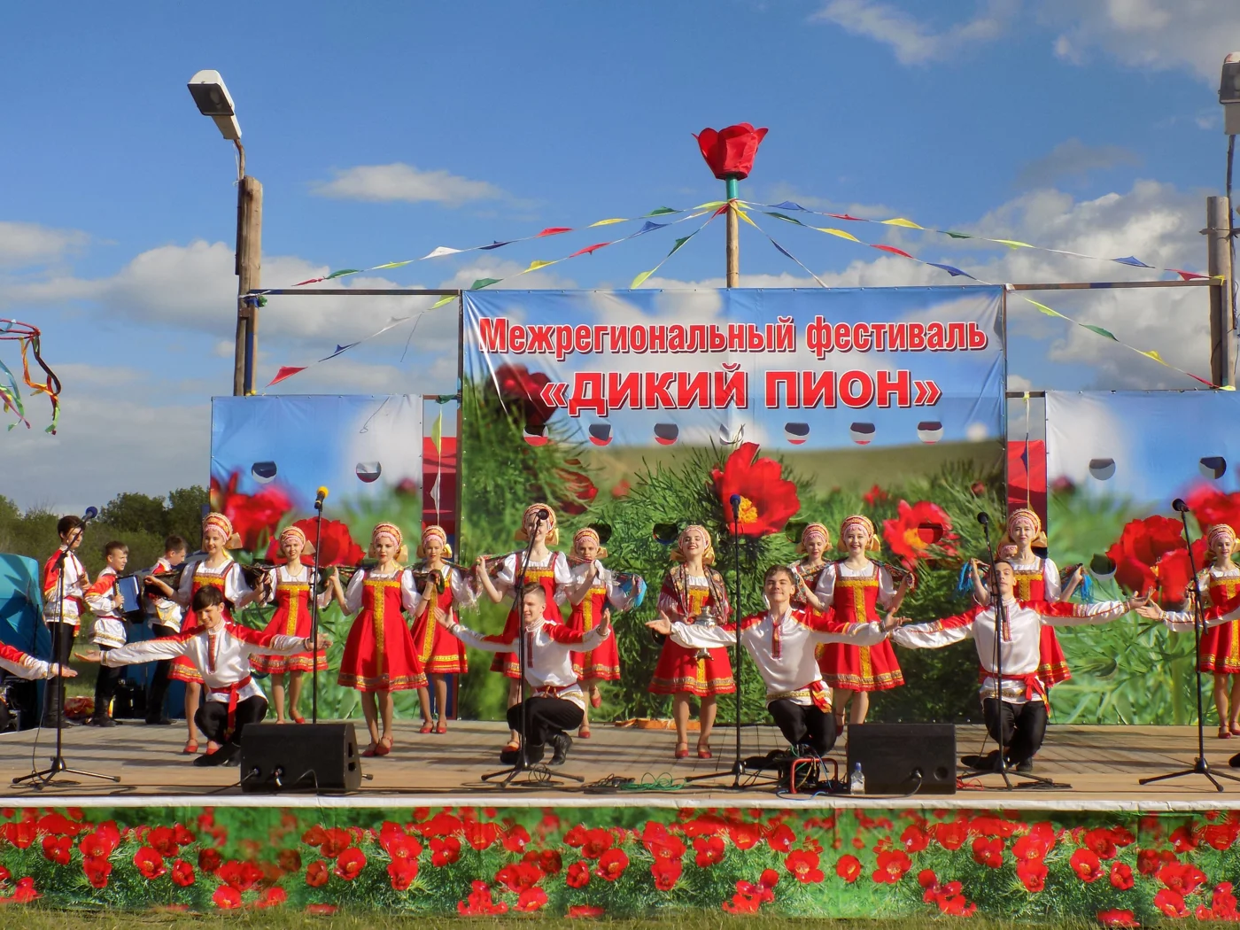 Фестиваль славянской культуры «Дикий пион»