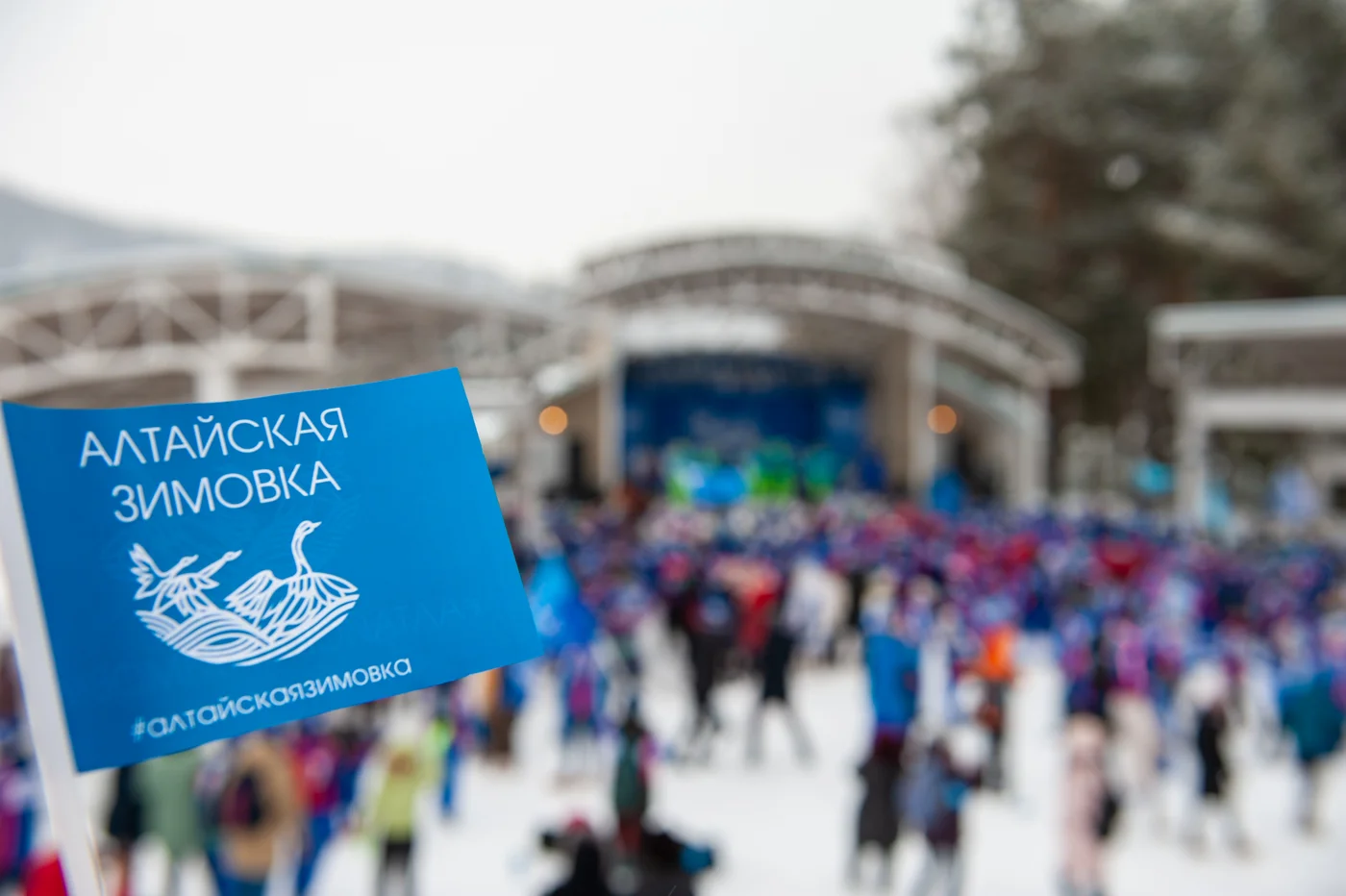 Фестиваль «Алтайская зимовка»