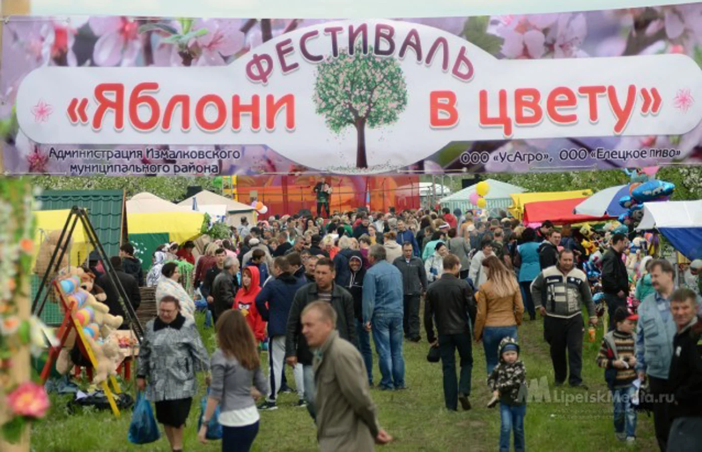 Областной фестиваль "Яблони в цвету"
