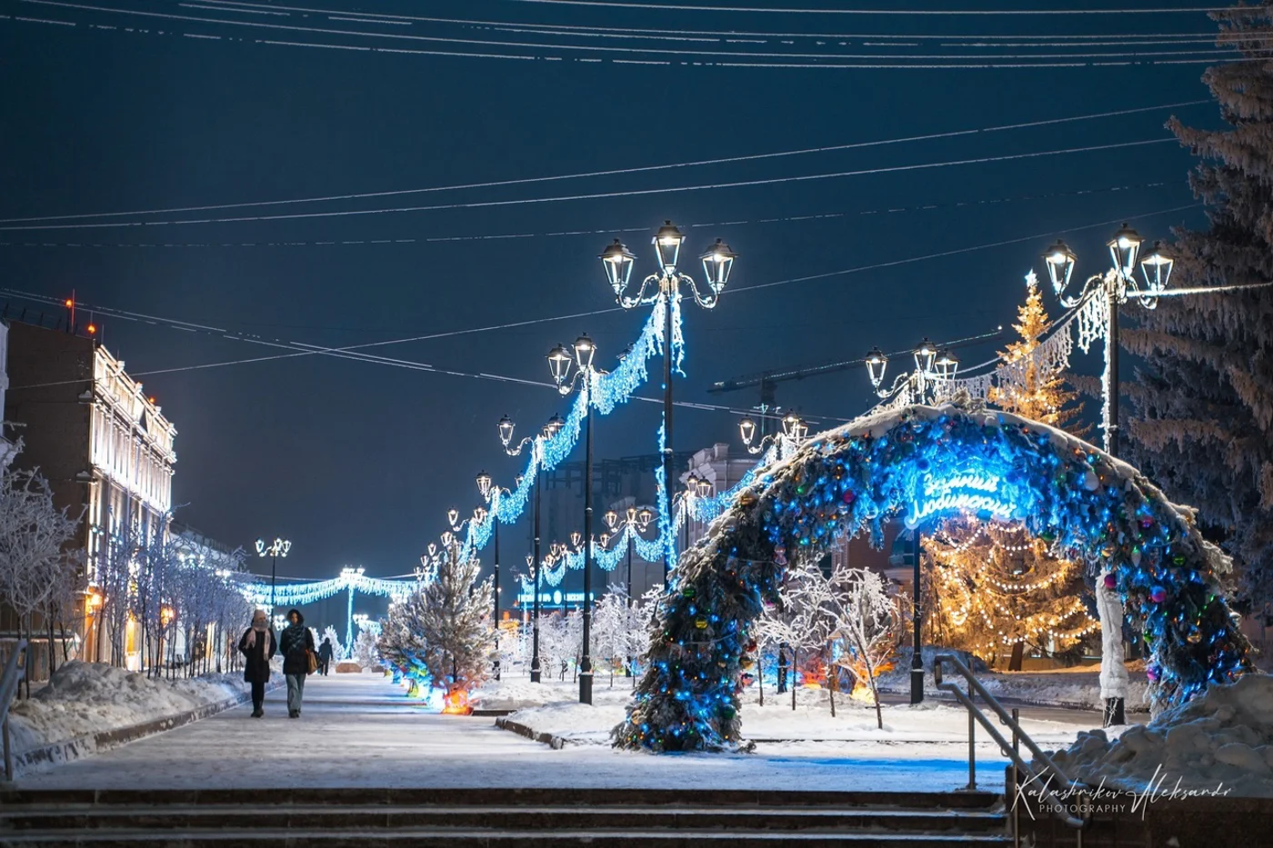 Зимний Любинский